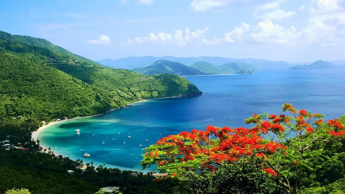 自动化高精度
